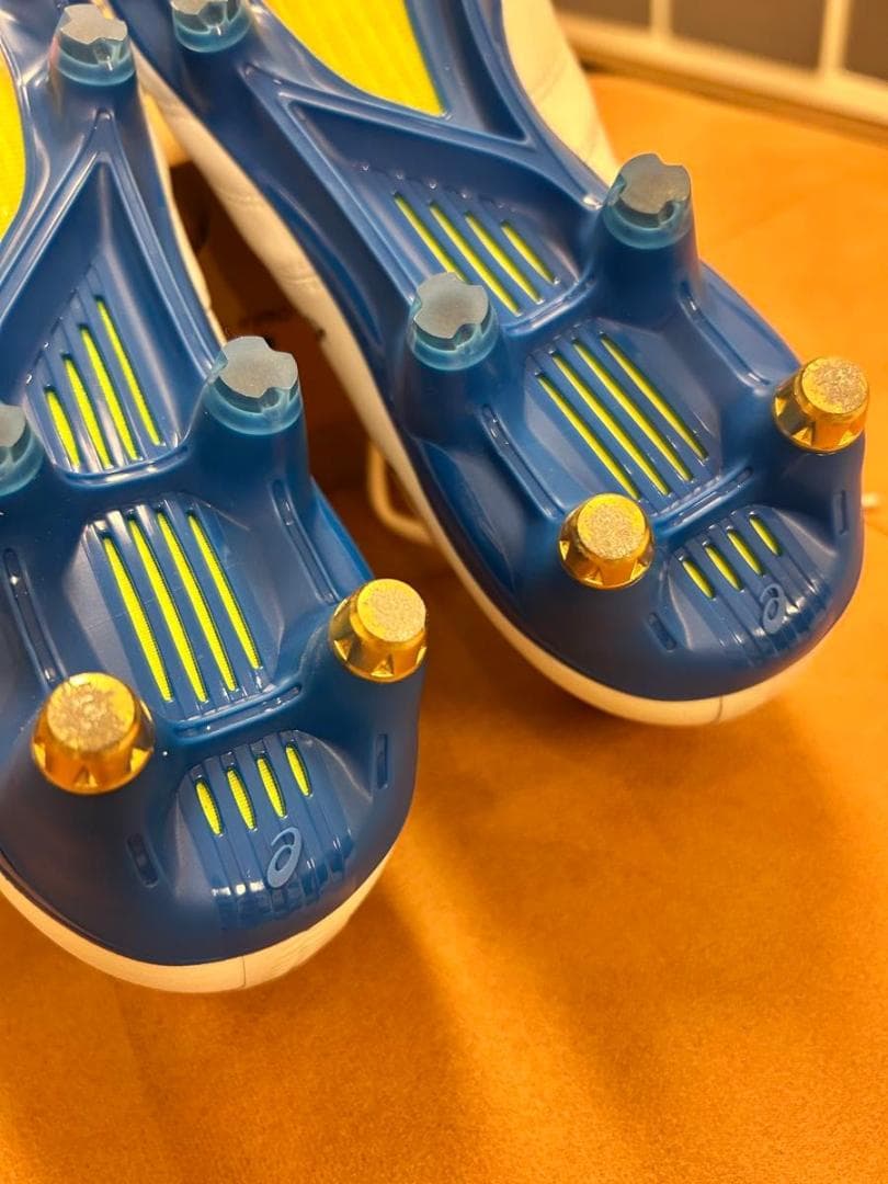 【極美品】アシックス DS LIGHT X-FLY PRO ST 25.5cm