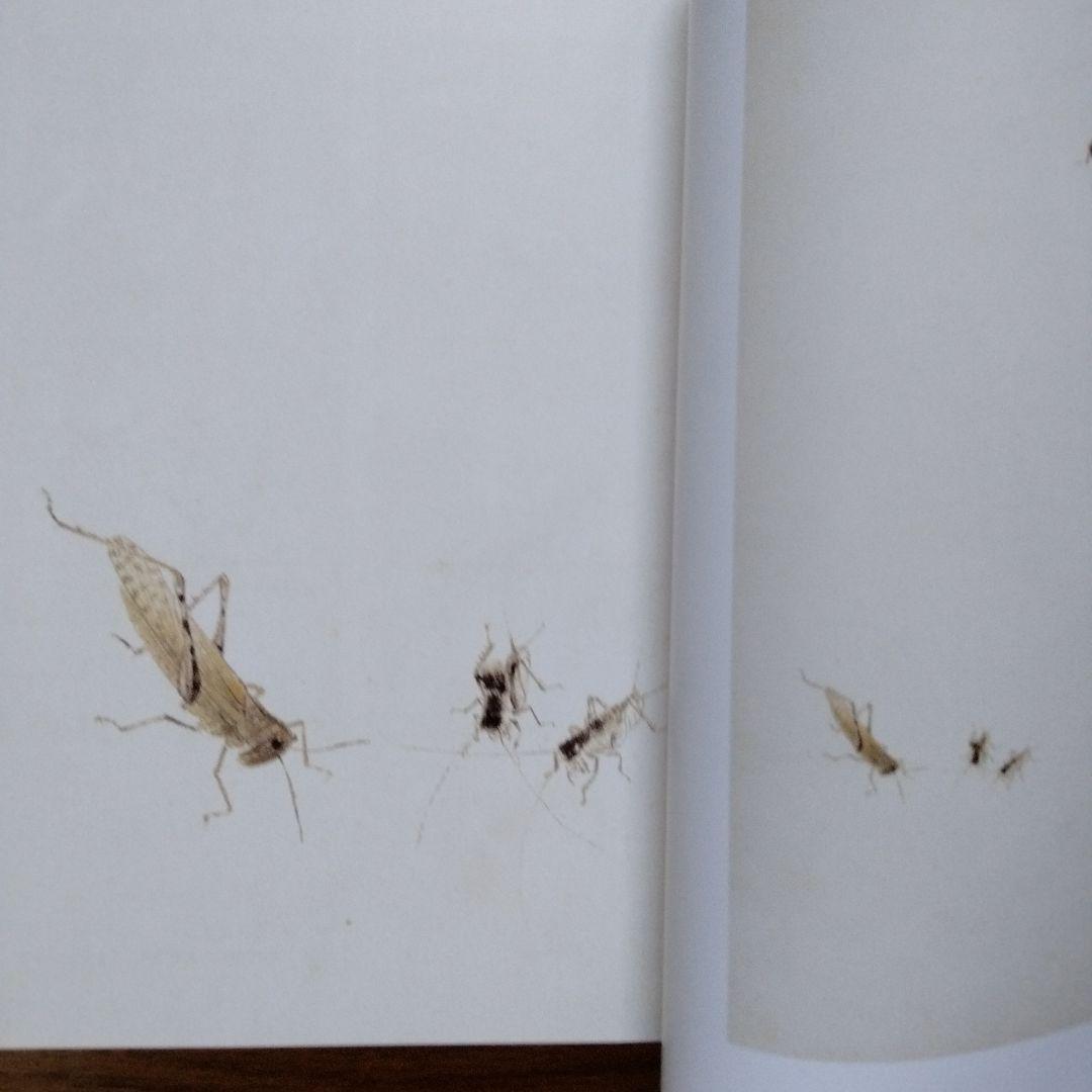 水墨画巨匠【草間偷活.斉白石草虫世界大型画集】北京画院編中国美術研究者の座右の書