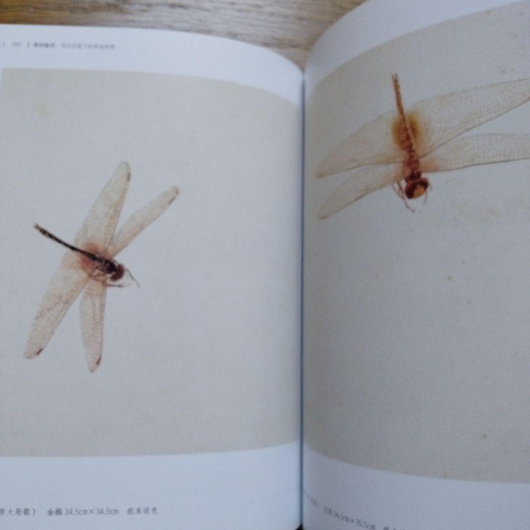 水墨画巨匠【草間偷活.斉白石草虫世界大型画集】北京画院編中国美術研究者の座右の書