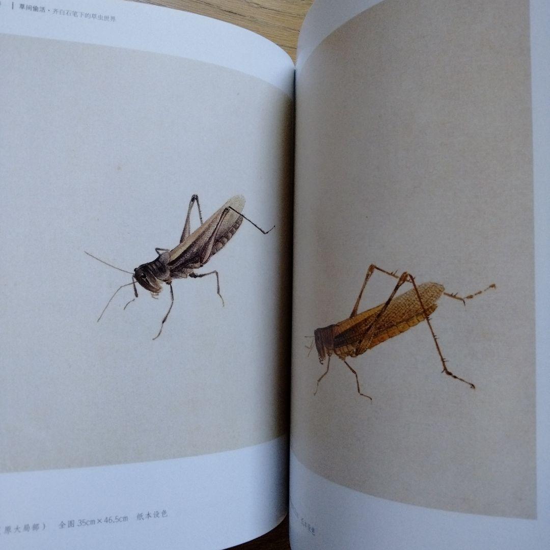 水墨画巨匠【草間偷活.斉白石草虫世界大型画集】北京画院編中国美術研究者の座右の書