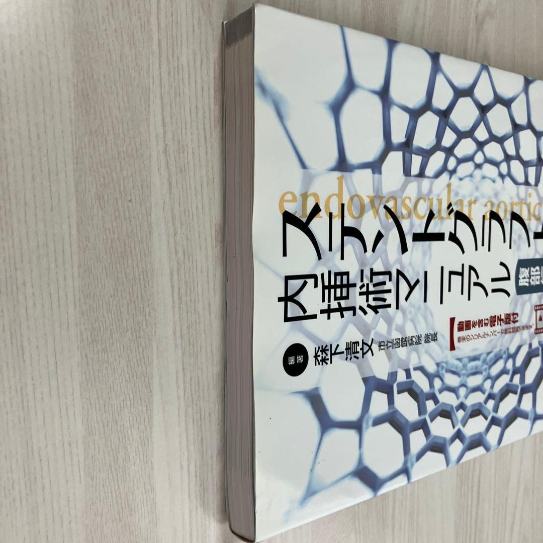 【未裁断】ステントグラフト内挿術マニュアル 腹部編
