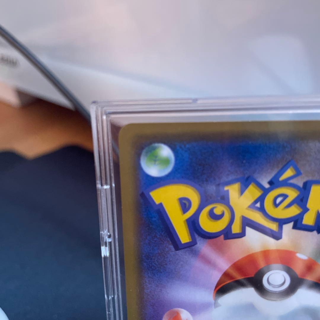 【最終値下げ‼️】まるのみされたピカチュウ：「オコヤの森のセレビィ&ザルード」