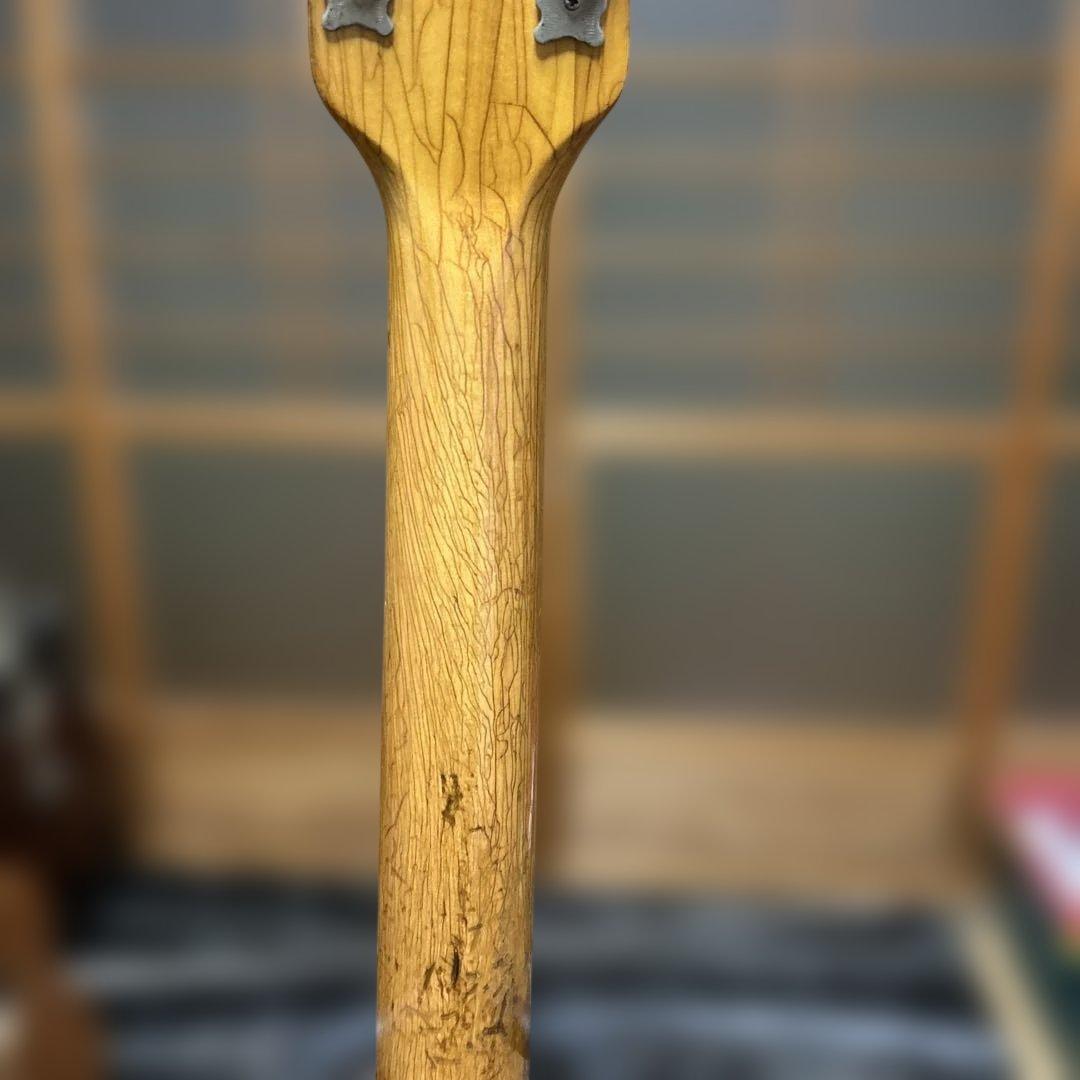 a*i様 TEISCOセミホロウボディ 3ピックアップフルアコギター