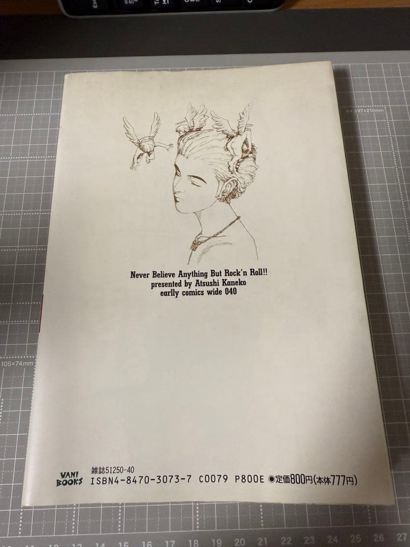 ロックンロール以外は全部嘘　カネコアツシ