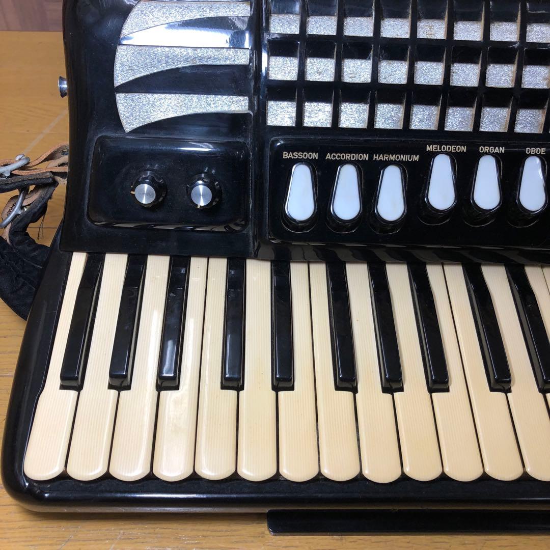 EXCELSIOR アコーディオン Professionalモデル ケース付