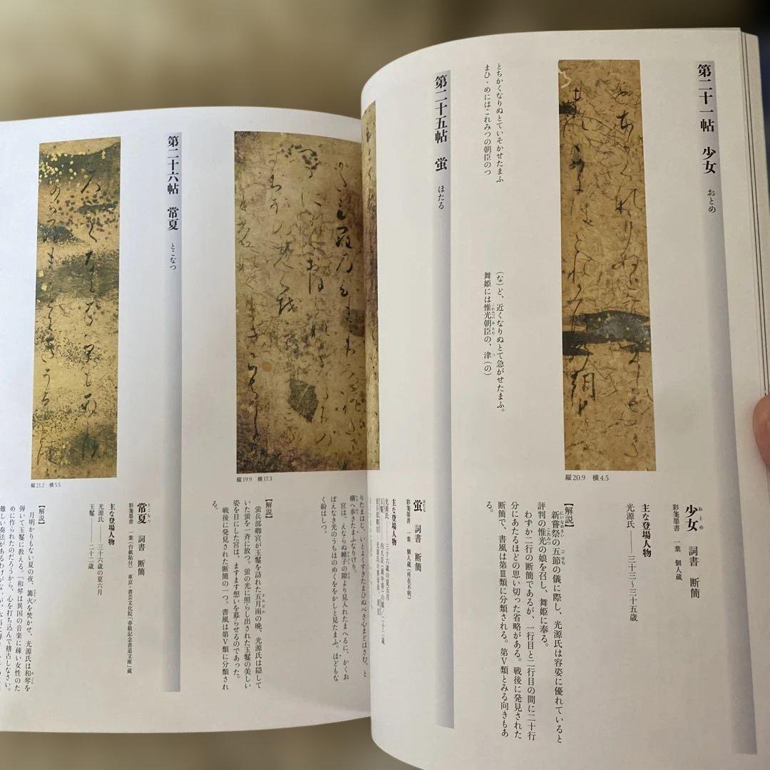 国宝源氏物語絵巻 図録　徳川美術館