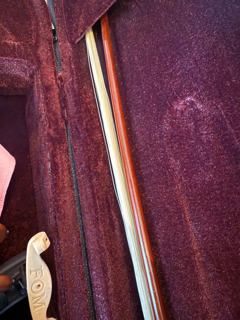 CARLO GIORDANO VS-2 4/4サイズ　バイオリン