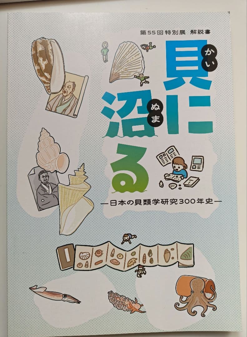 貝に沼る 解説書と風呂敷 特別展 大阪市立自然史博物館