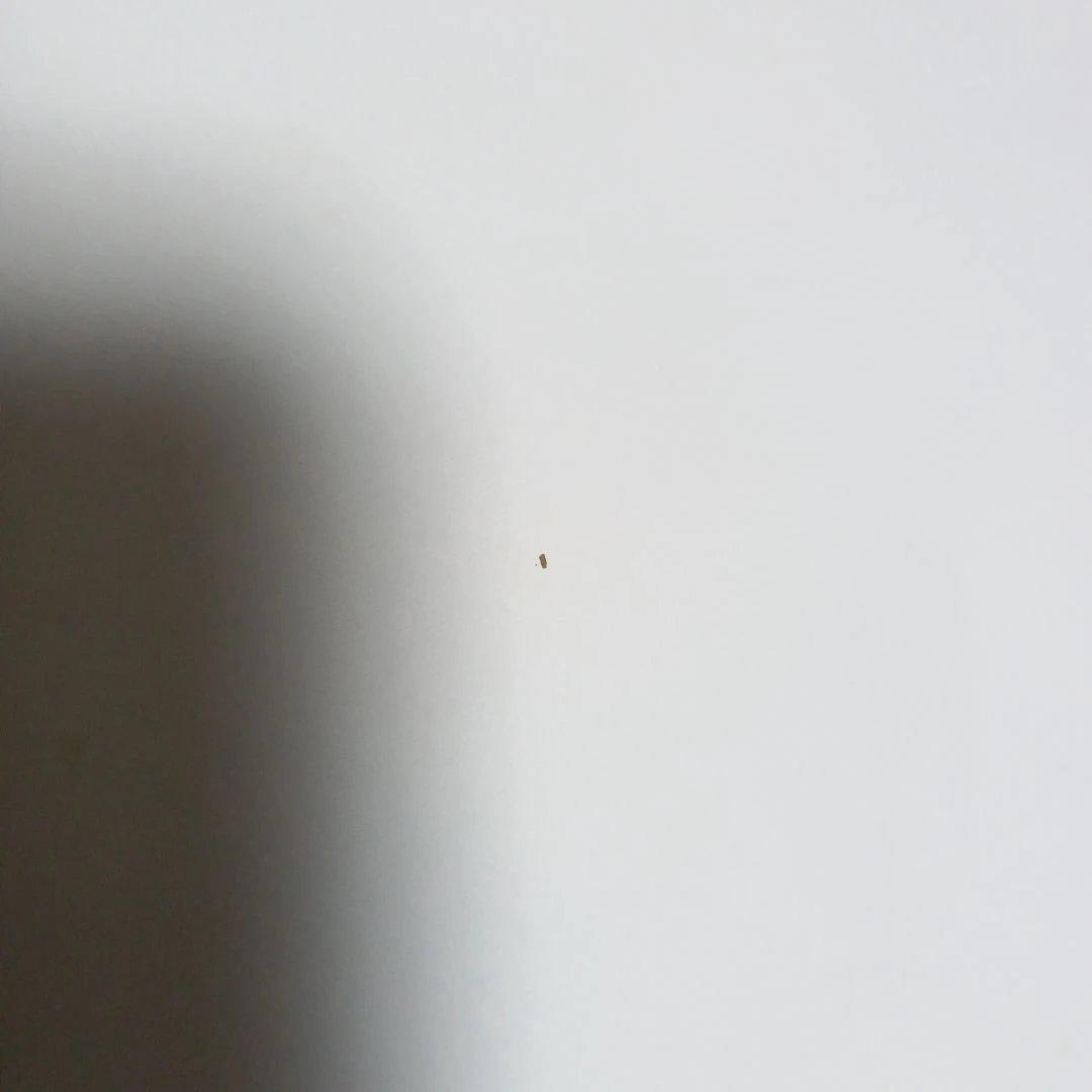 ポスター(遊星からの物体X)Ａ