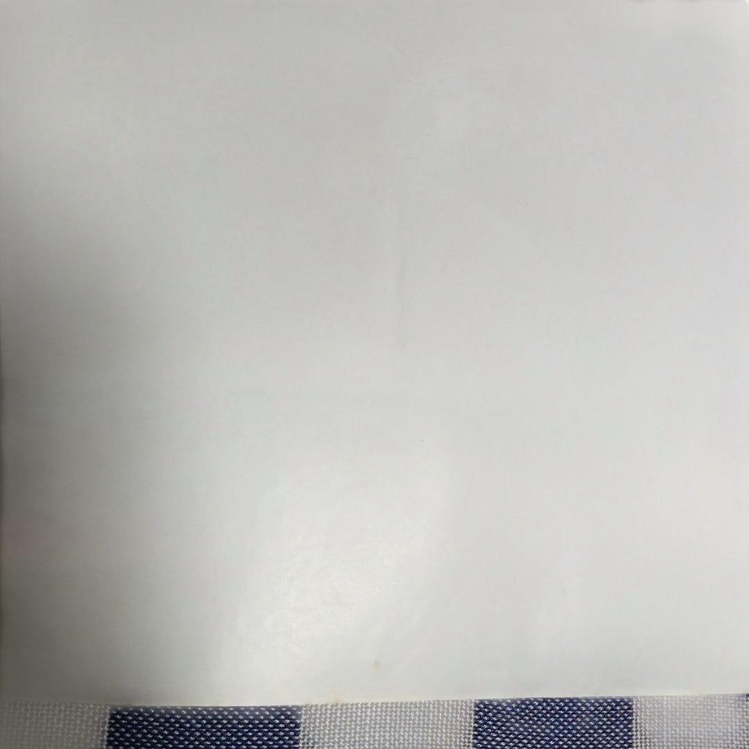 ポスター(遊星からの物体X)Ａ