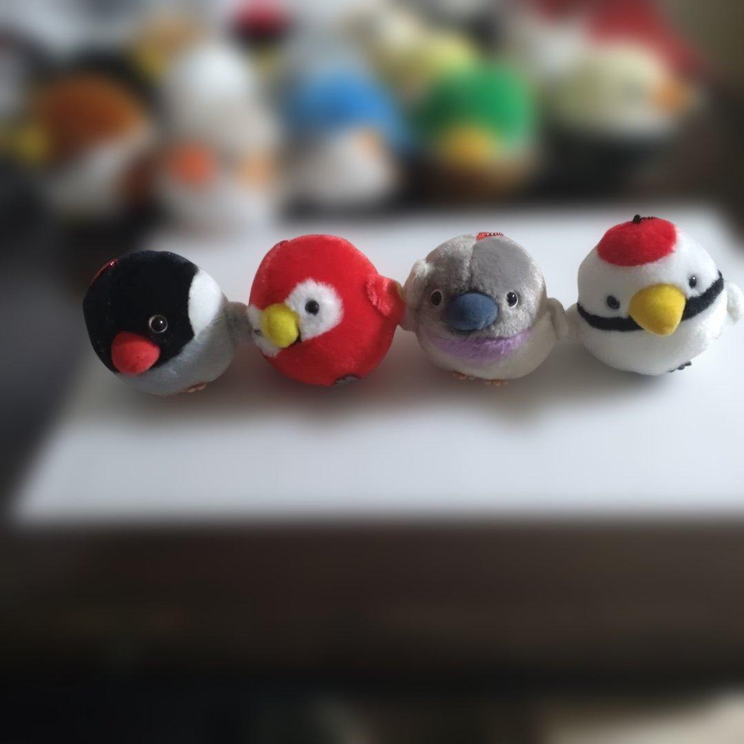 未使用品　ことり隊　ぬいぐるみ　17体セット