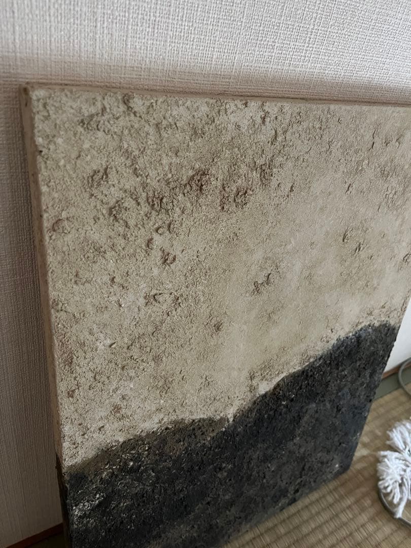 ハタノワタル　山