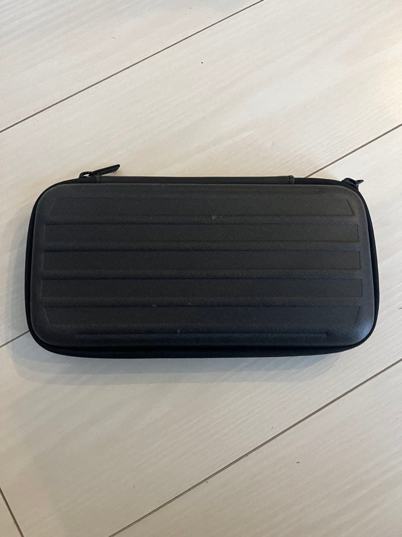 Nintendo Switch Lite（グレー）本体＋専用ケース付き