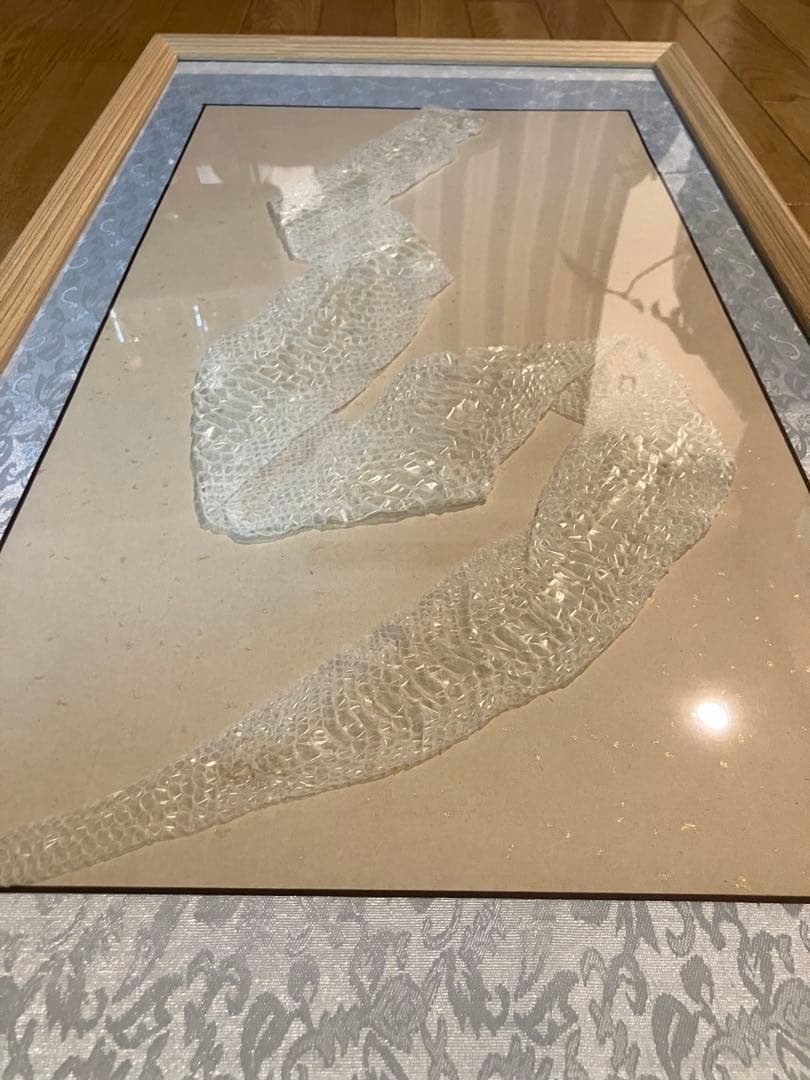 【新品】蛇の抜け殻アート縁起物