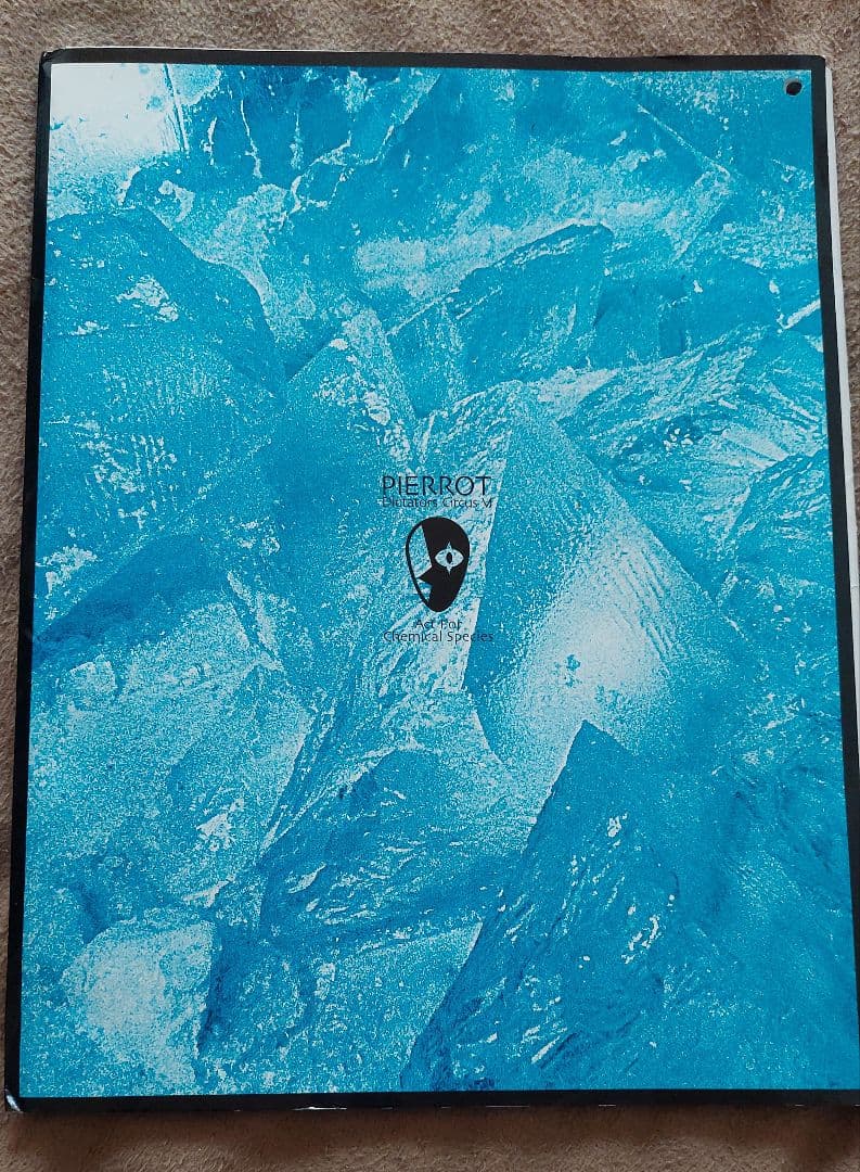 PIERROT ツアーパンフレットセット(12種類分)