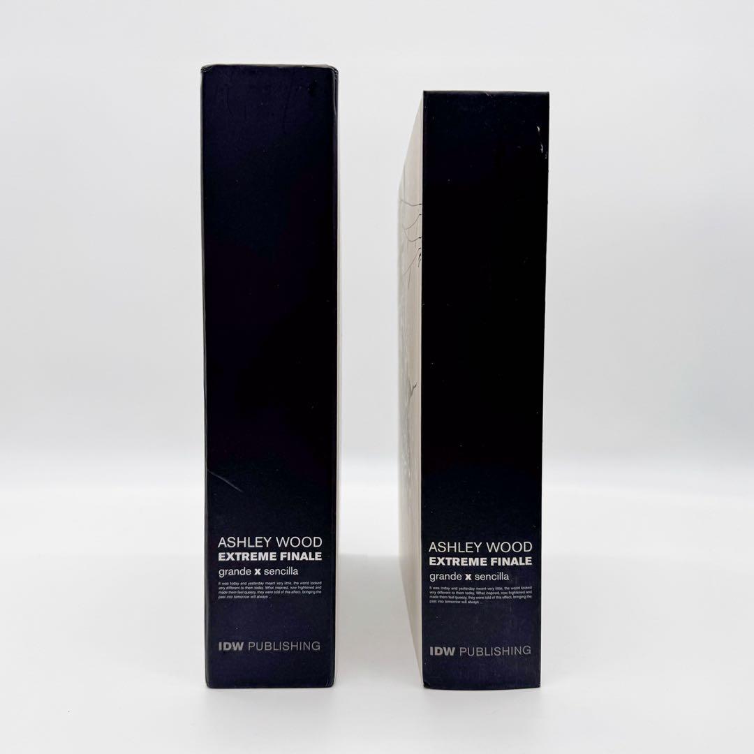Ashley Wood Extreme Finale 画集 アシュレイ・ウッド