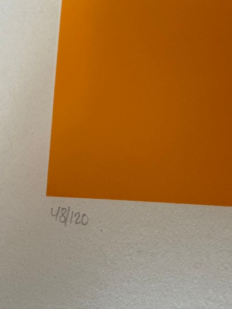 Verner Panton グラフィックアート 48/120