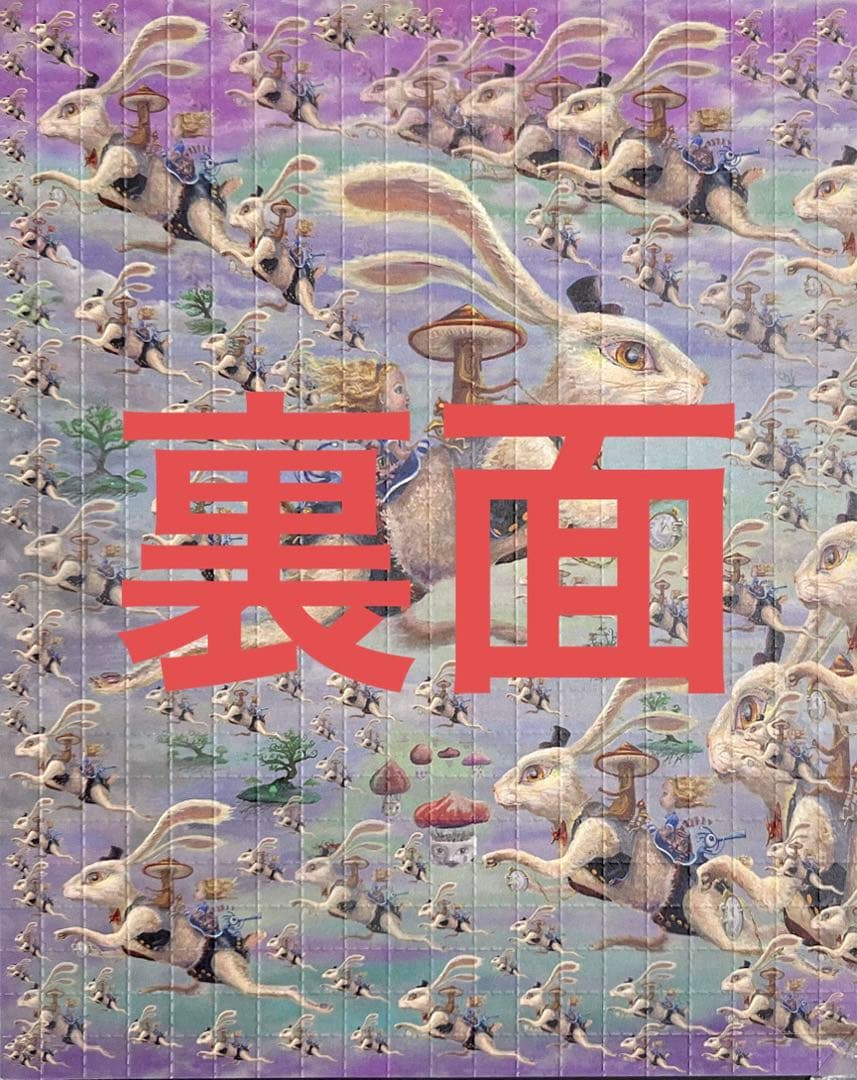 ブロッターアート 「白い幻想のなかの兎」印刷加工最良両面印刷 メルカリ便匿名配送