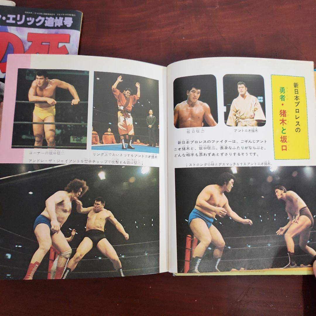 プロレスファン必見　雑誌 プロレス夢のオールスター戦