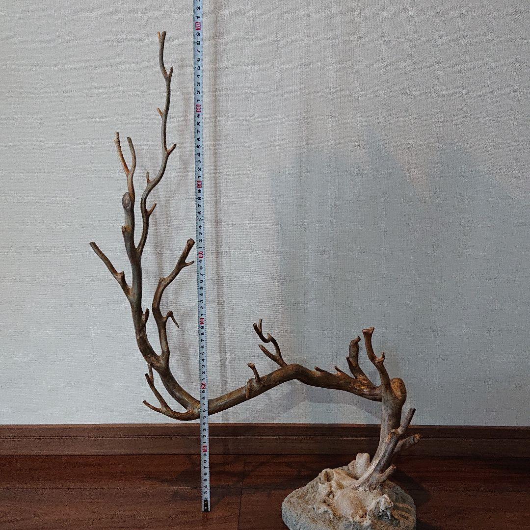 海松 深海松 レインボーコーラル 原木 珊瑚 希少