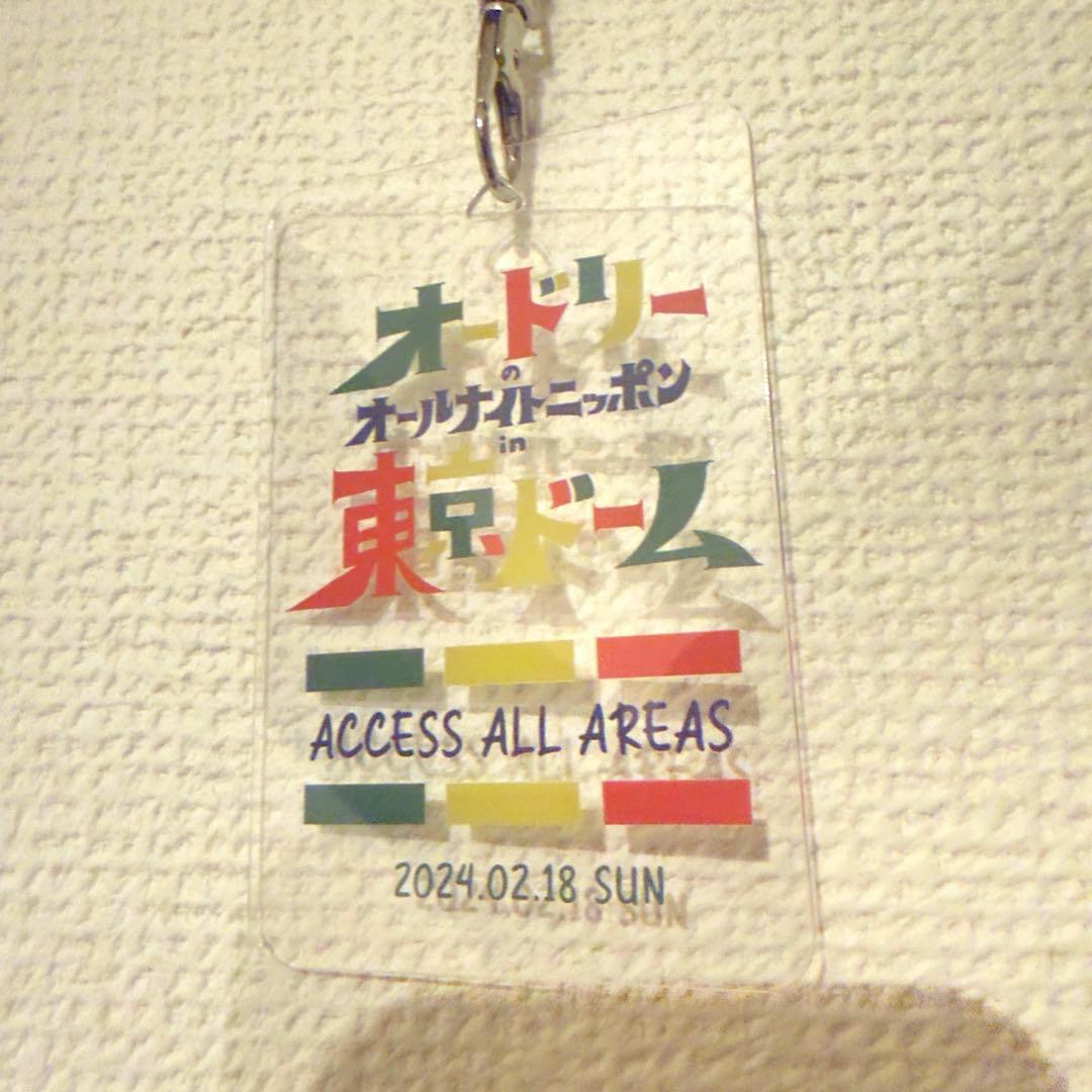 極貴重品 オードリー オールナイトニッポン 東京ドーム 関係者パス 15周年