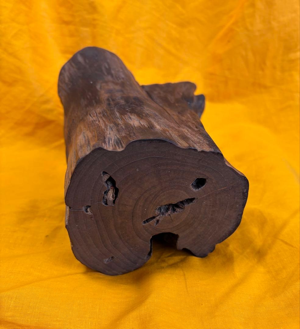 化石　珪化木　木化石　鉱物