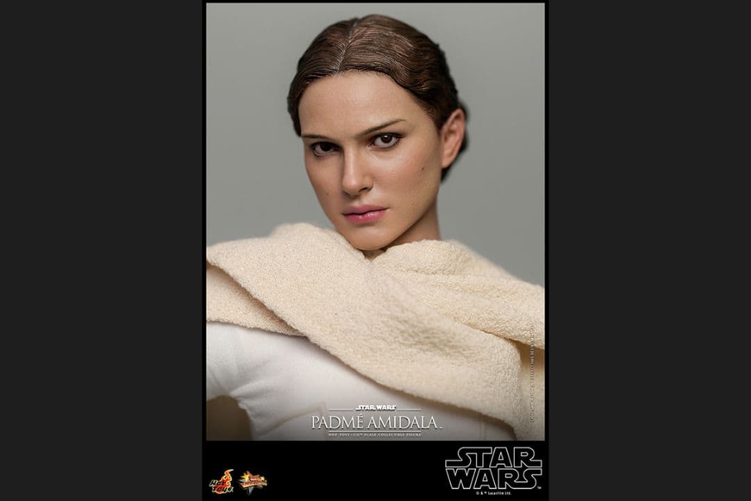 新品未開封 ホットトイズ パドメ