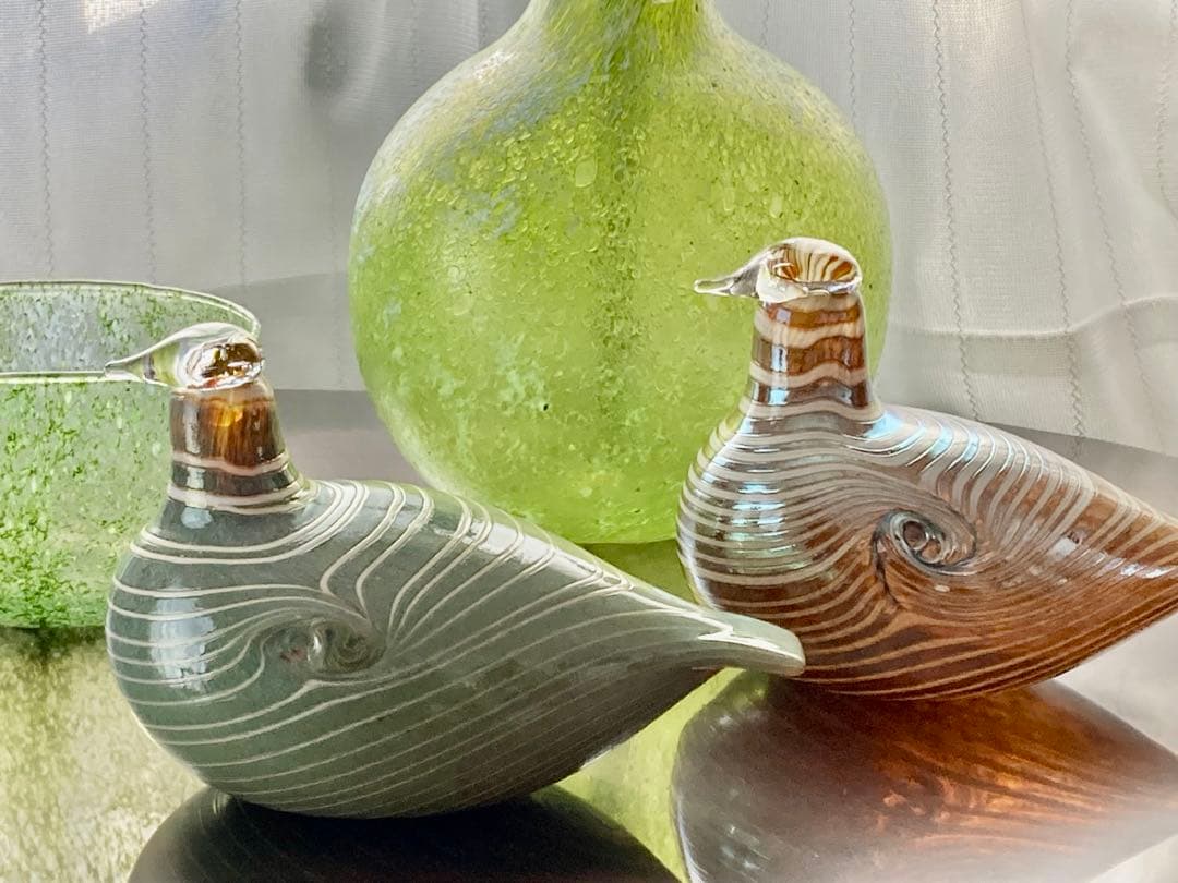 so16Nuutajärvi oiva Long-taled duck 緑