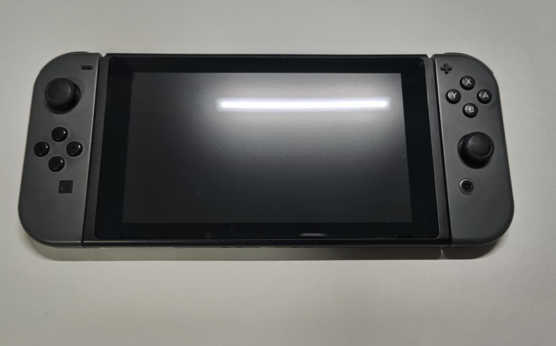 Nintendo Switch 本体　グレー　純正キャリングケース付き