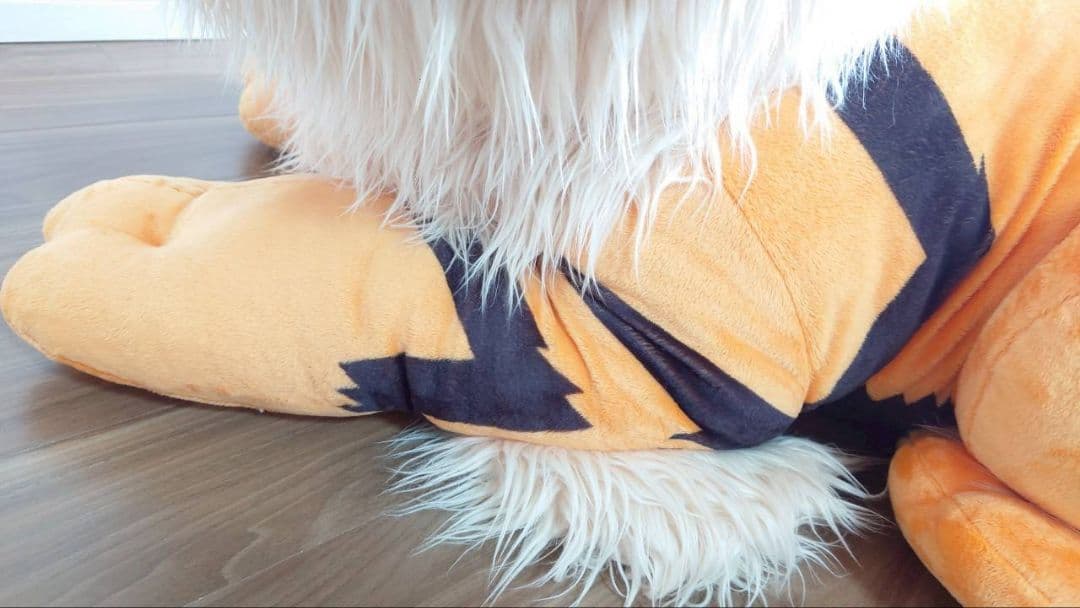 ♥【レア】添い寝　ウインディ　ポケモンセンター公式　受注生産　再販なし