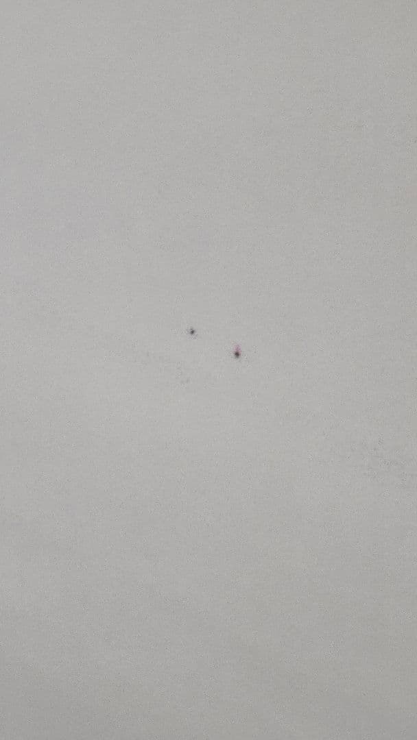 b*6様 【希少品】横尾忠則 JRA 第65回日本ダービーポスター B1サイズ