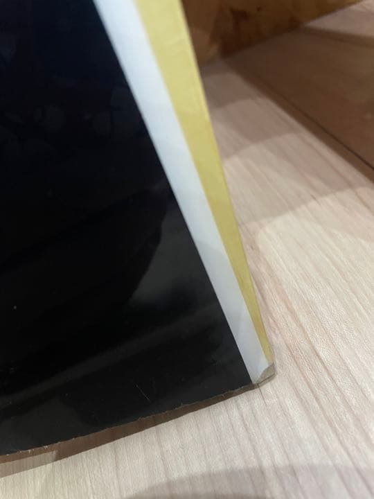 the day スノースクート パウダー　スノースケート