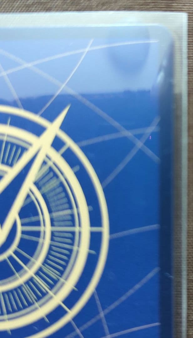 受け継がれる意志　ドンスーパーパラレル、ロジャー手配書