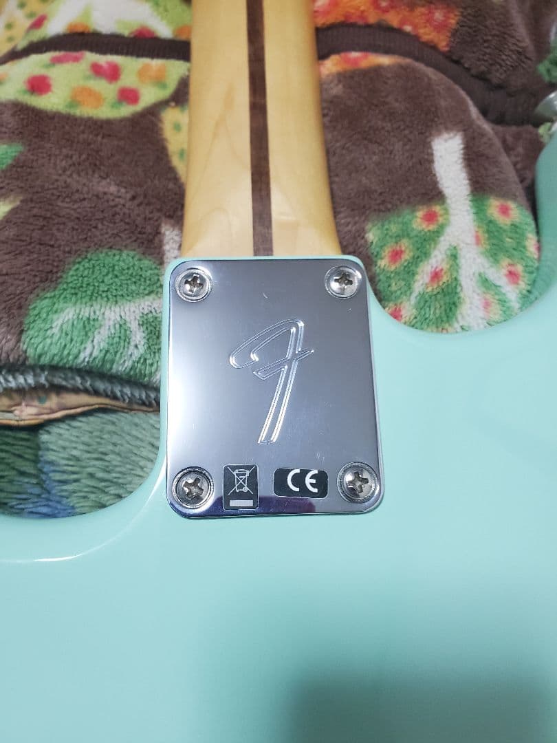 Fender Limited Player ストラトキャスター