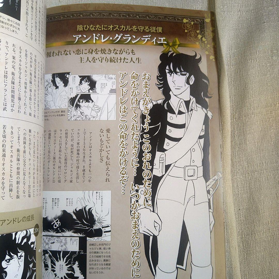 希少本　ベルサイユのばら ぴあ