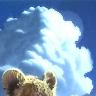 シム・シメール（シメール）ジグレ　版画　絵画　美品　アルビバン保証書あり