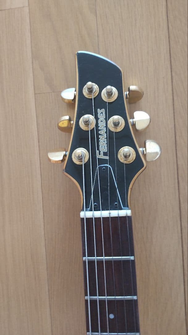 FERNANDES　APG-100 24F【レア】