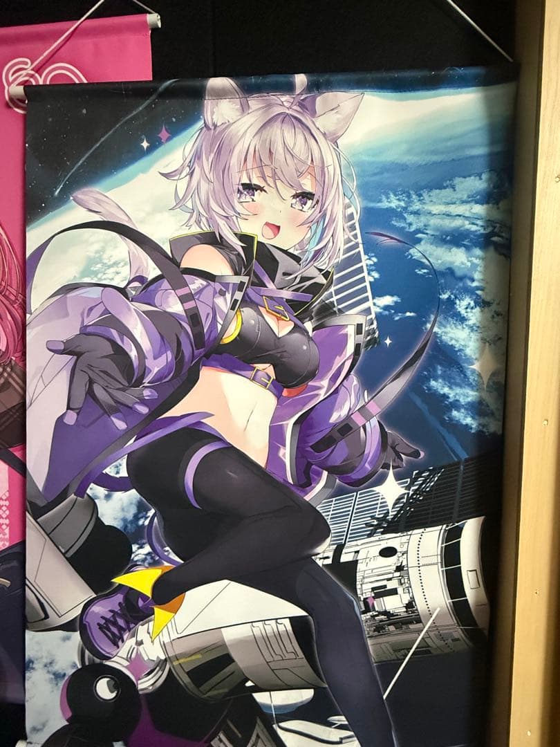 猫又おかゆ まとめ売り 引退品