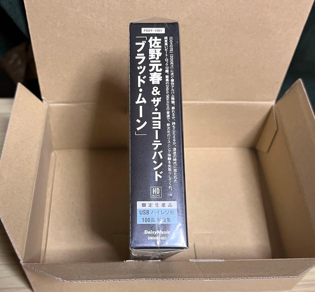 ★本日限り！超レア！ハイレゾUSB新品/未開封】佐野元春『Blood Moon』