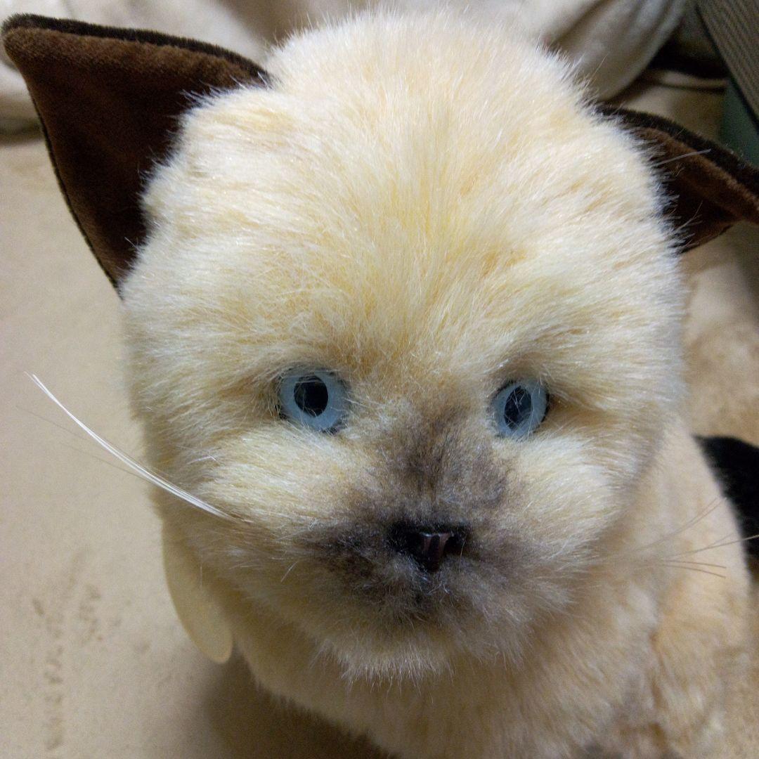 猫レトロぬいぐるみ　リアルねこ　WATFORD
