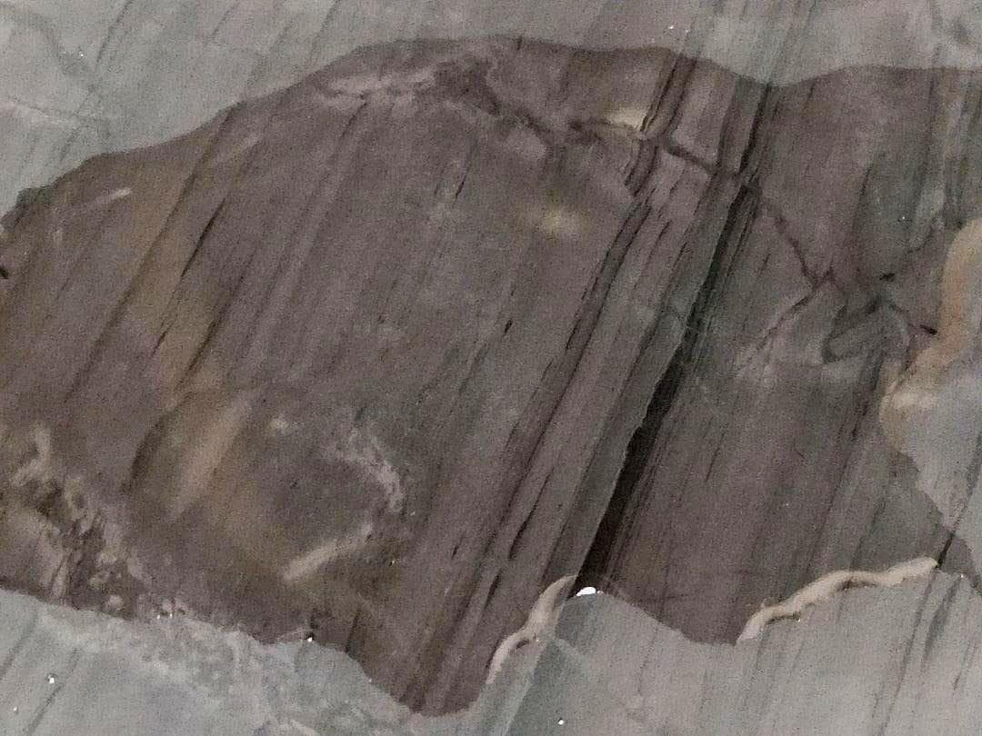 ♥大型　中国製　歙州　蝙蝠文双龍硯　硯　骨董品　端渓硯