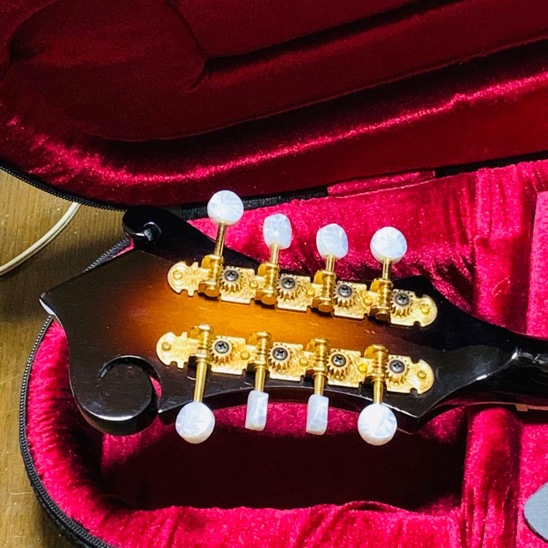 未使用級‼️Blantonマンドリン サンバースBM-30F純正セミハードケース付