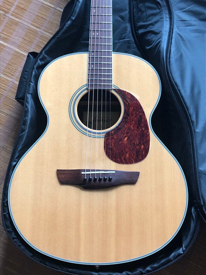 James ジェームス J450Aピックアップ