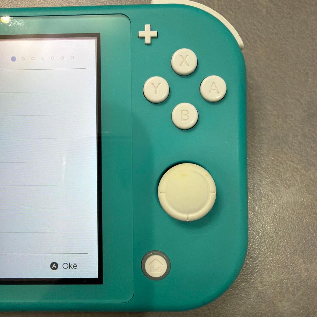 Nintendo Switch Switch lite