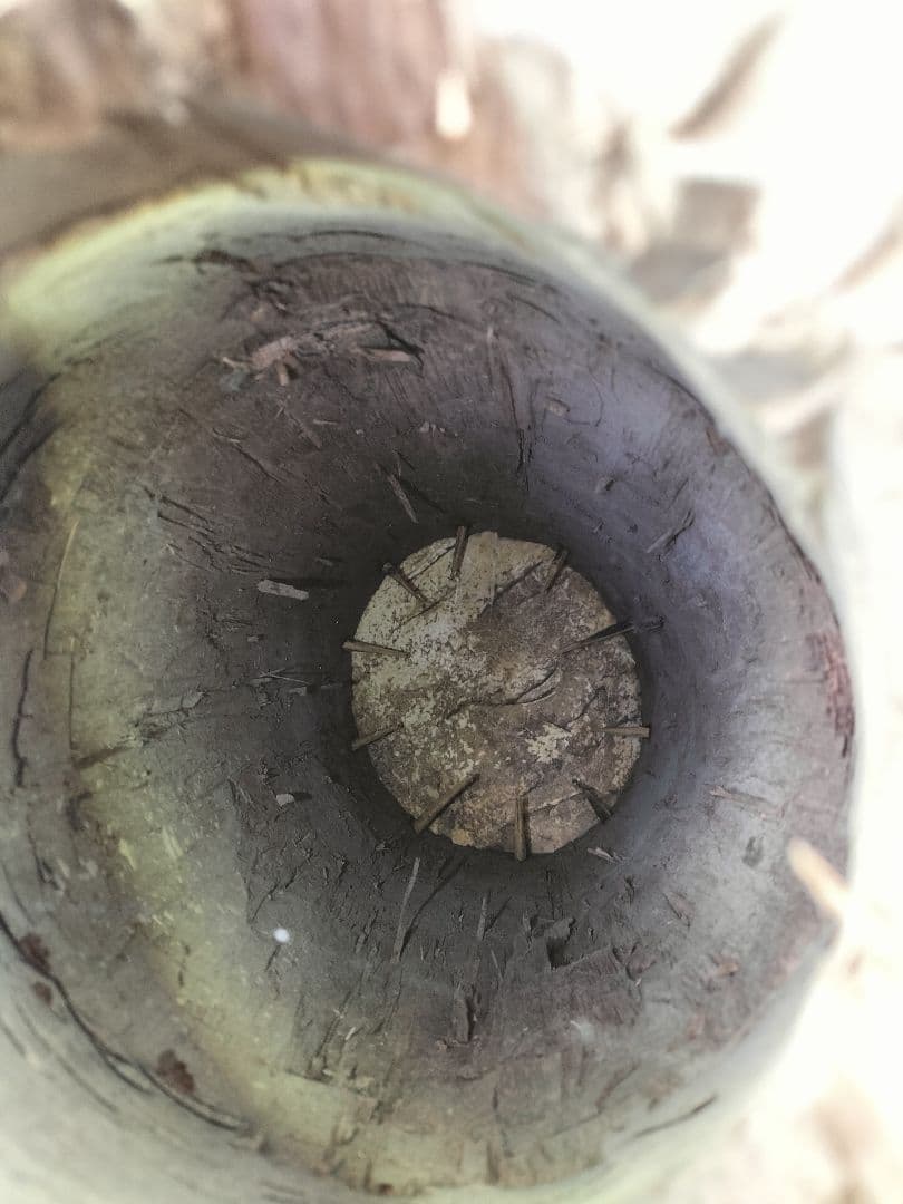 アフリカ 民族 打楽器 大型 ジャンベ 高さ67cm 打面約26cm