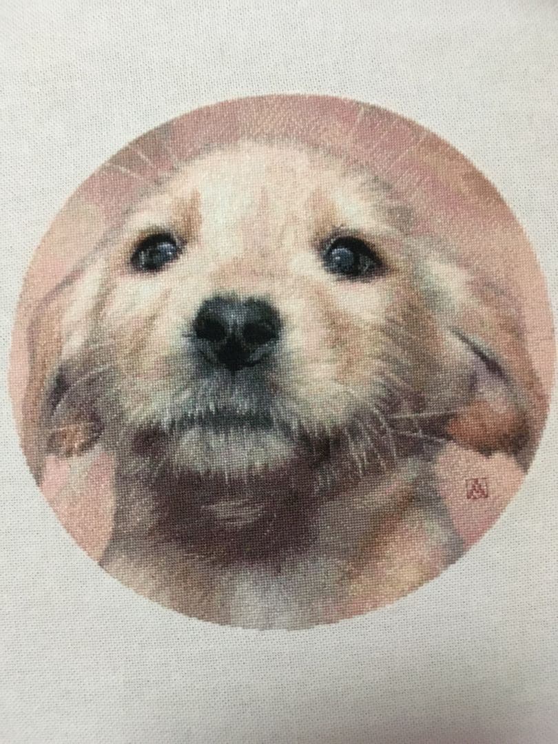 ラブラドールの仔犬　クロスステッチ刺繍完成品　(HAED社　25C) 額付き