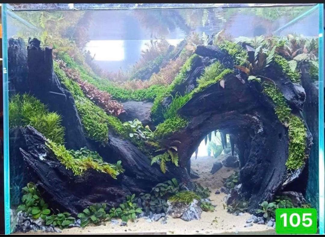 水槽用流木レイアウト 。水槽用流木アクアリウムレイアウト。水槽用流木 。盆栽流木