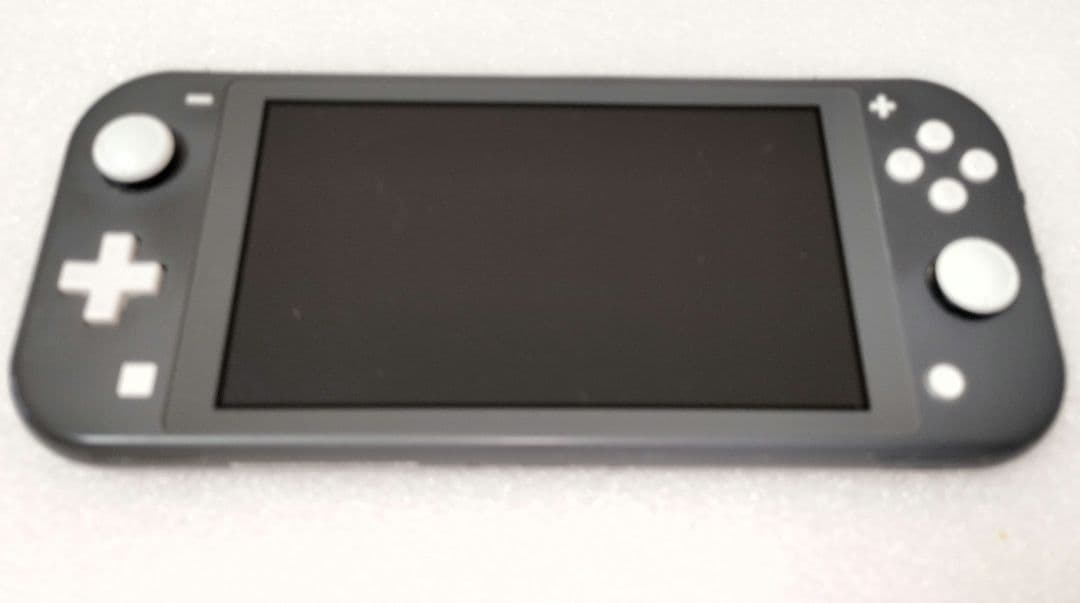 ジャンク品 Nintendo Switch lite ニンテンドースイッチライト