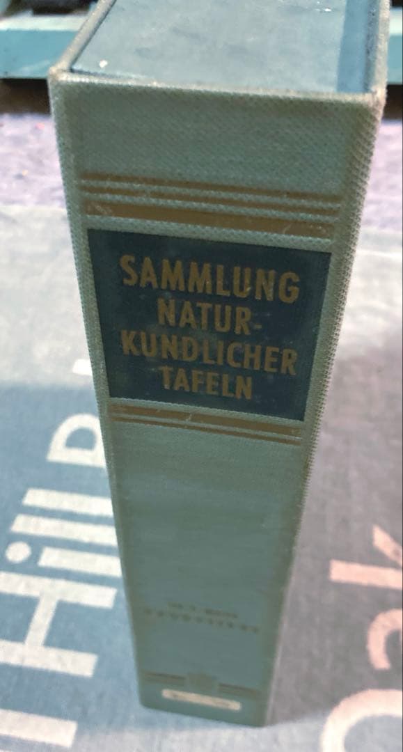 博物図鑑　1958年（ドイツ）図版、 160枚のボタニカルアートBOX