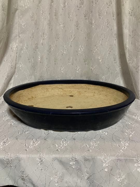 鴻陽　大きめ鉢